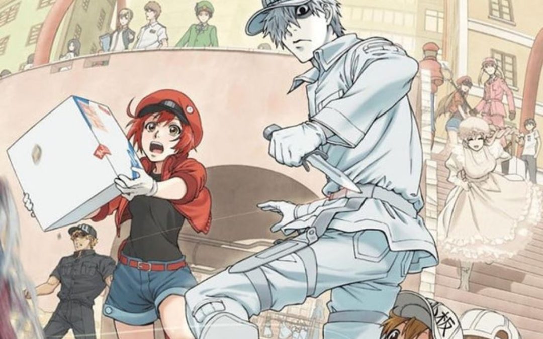 Cells at Work! Will be Back For Season 2!, Anime News