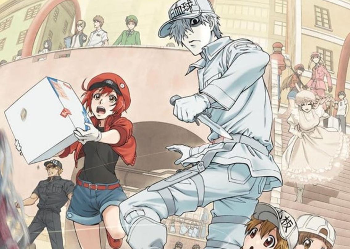 Cells at Work' Season 2 & 'Code Black' Anime Getting Early